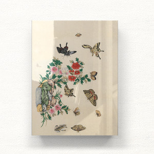 나비와 꽃들 시리즈 1 아크릴 일러스트 그림액자by하얀달(333063)
